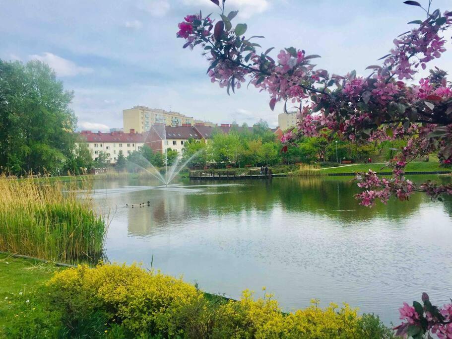 Andersena Modern  Lägenhet Warszawa Exteriör bild